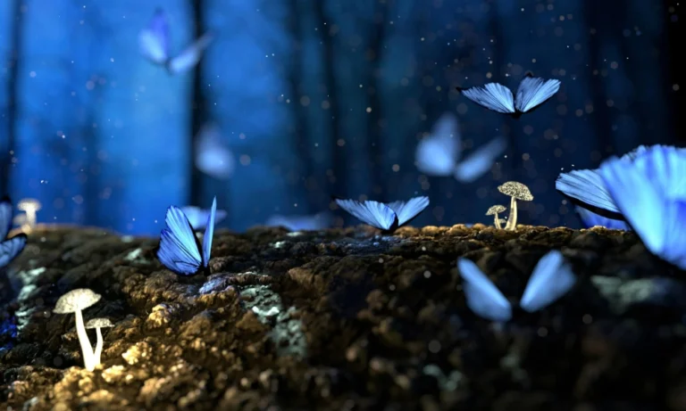fairtytale_1000x600